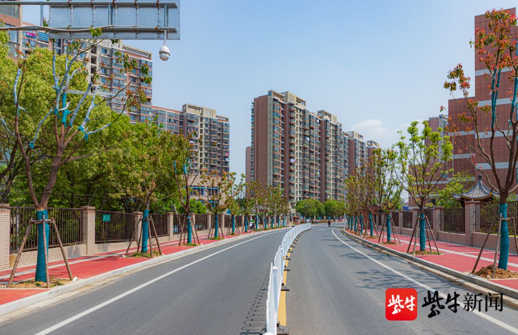 彰显南京新都市建设品质"栖霞小巷"精雕细管打造"家门口的景观"