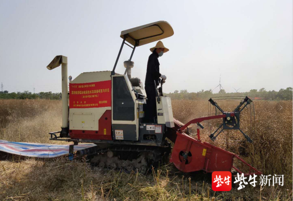 智能化油菜联合收割机,江苏大学这项发明"太油菜(有才