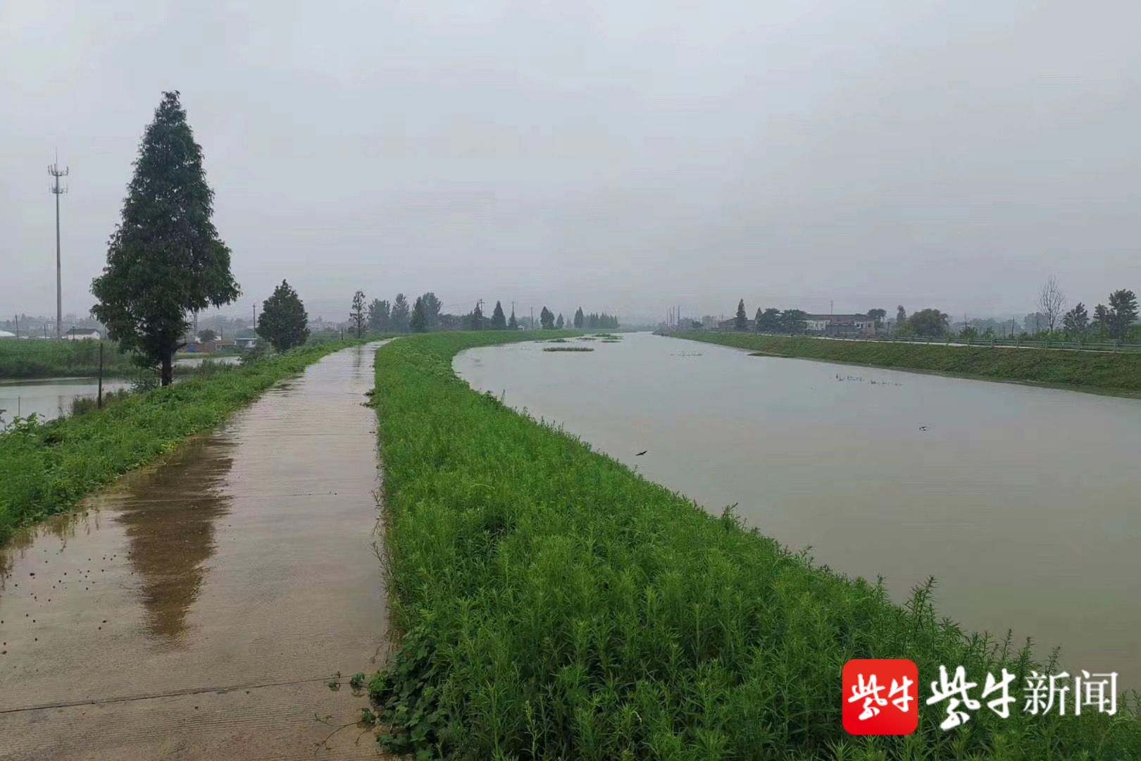 而堤下,则是句容市下蜀镇百姓,党员,民警,民兵,消防战士,水利人的全力