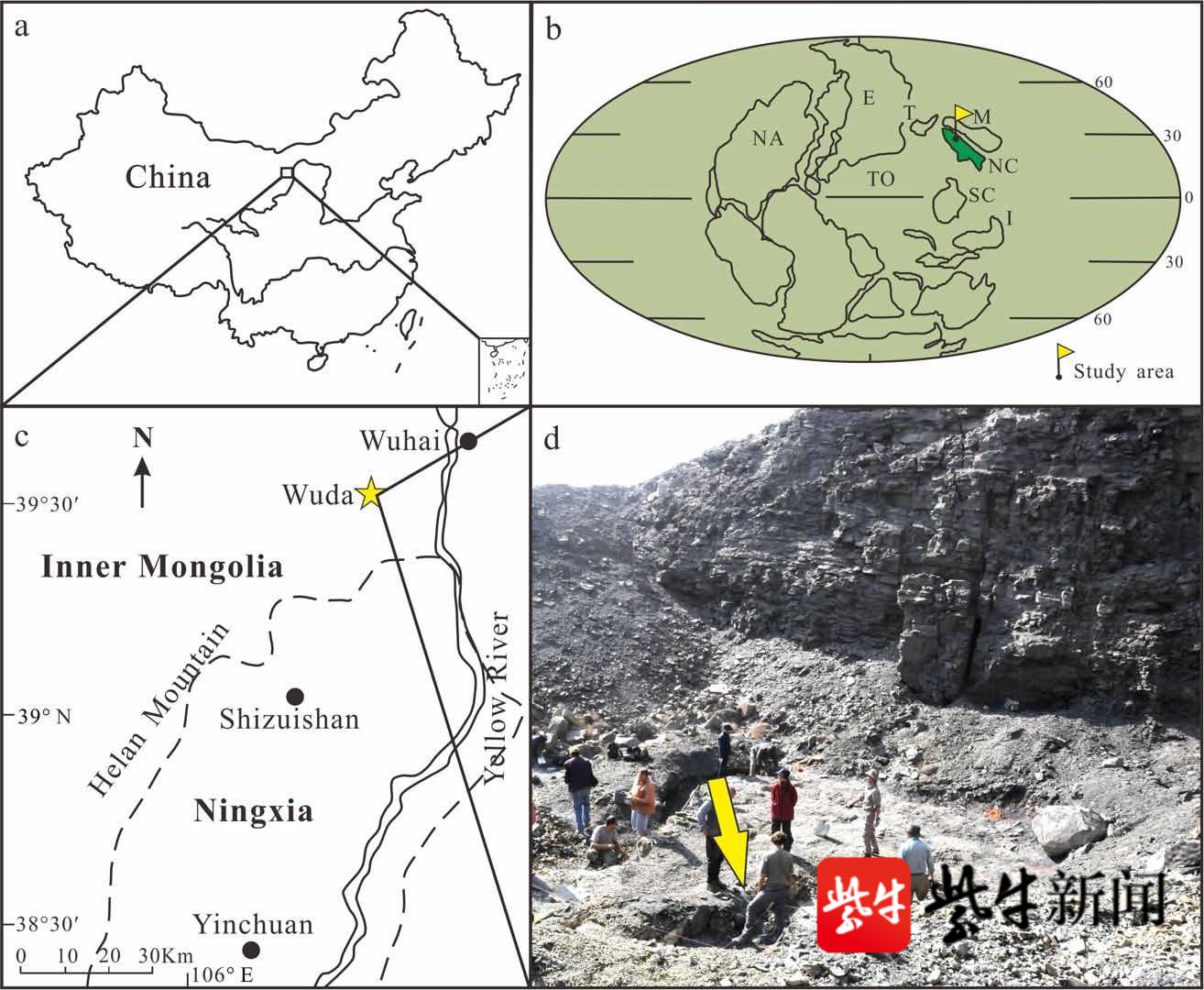 化石产地在二叠纪时的古地理位置;c.乌达的地理位置;d.