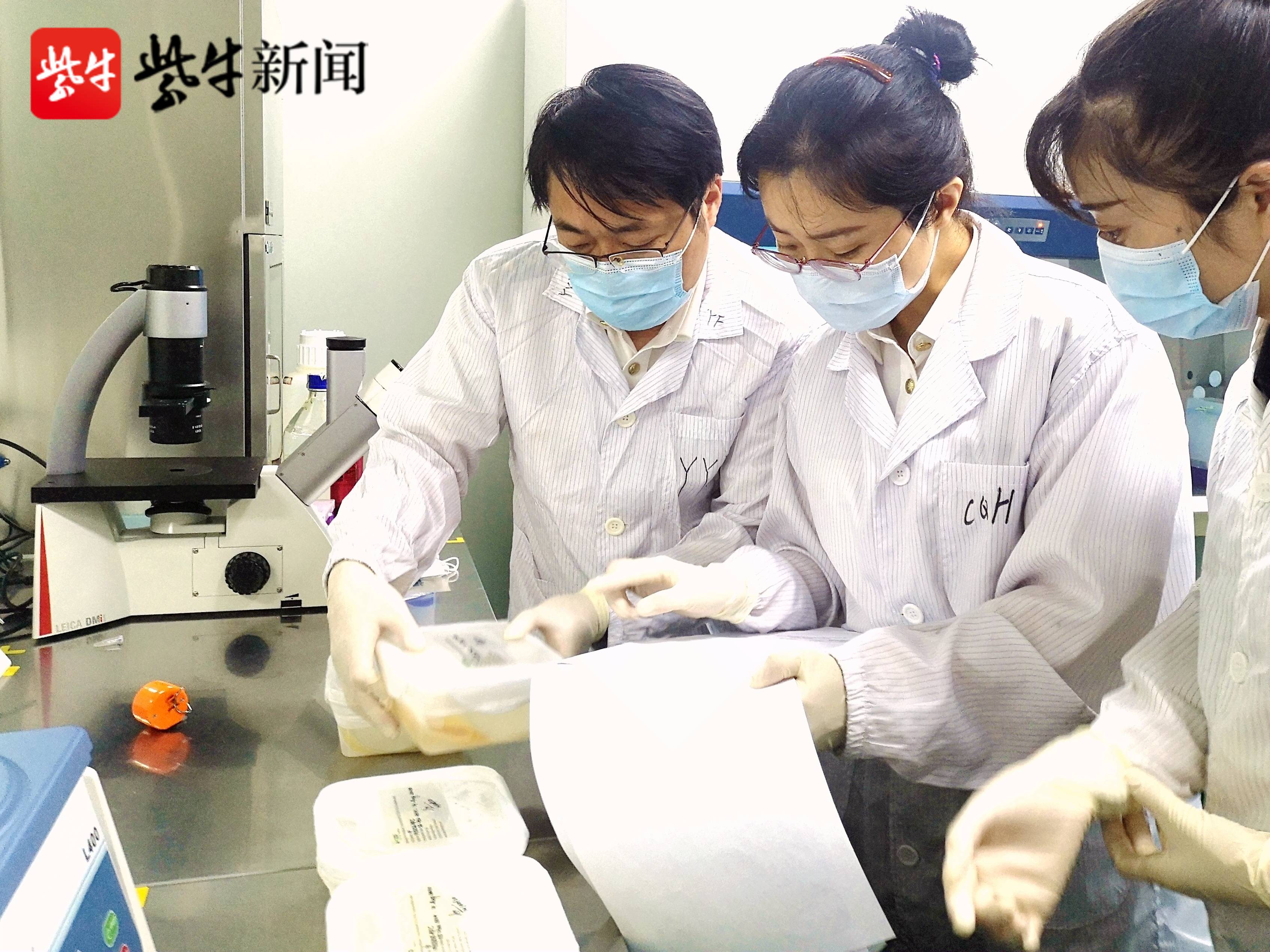 南京地区首批"牛心包"进口