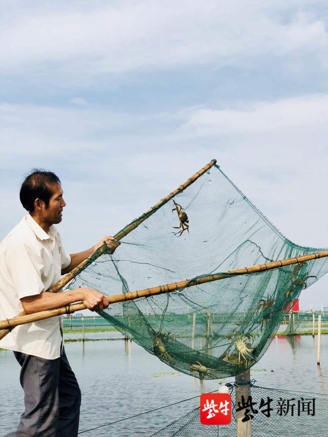 阳澄湖蟹农