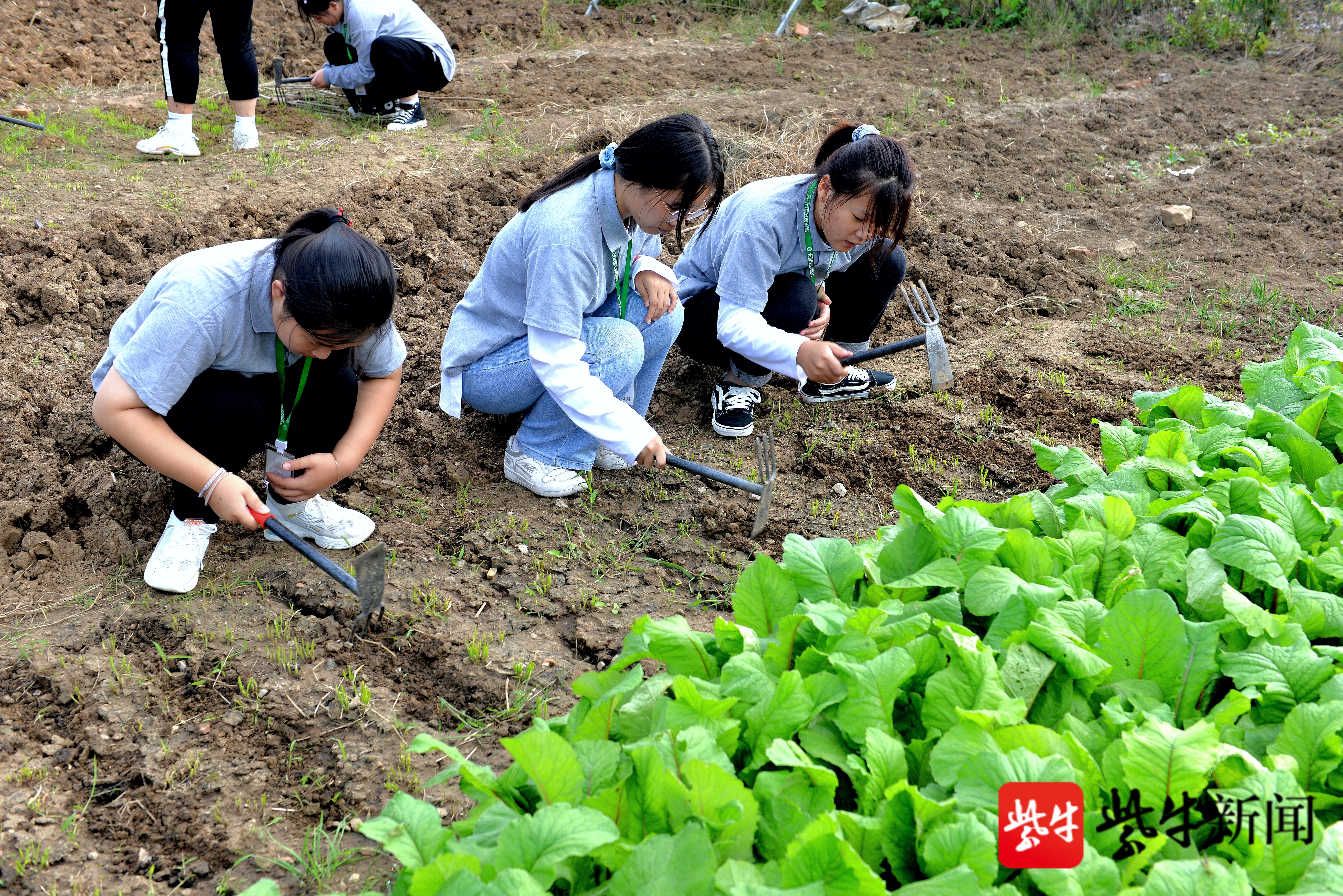 视频|无锡这所学校有农场,学生们最爱上劳动课