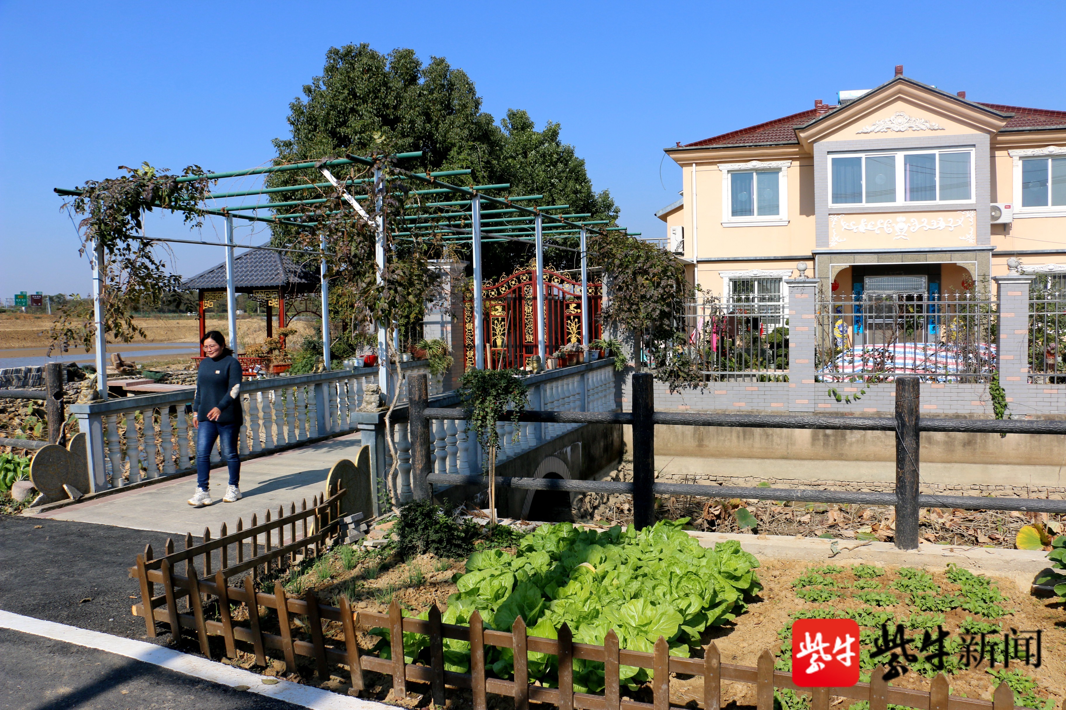 高淳桠溪美丽乡村建设提升村民居住环境