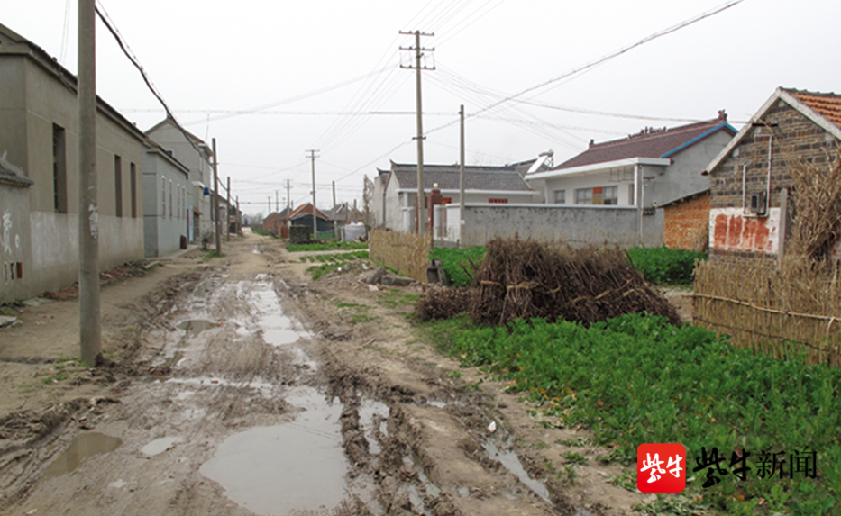 了不起的乡村(3|佳富村:28家农场"朵朵桃花开"