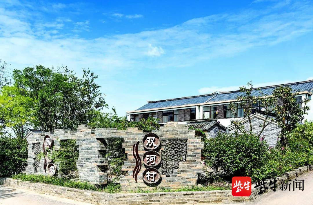 如何解决城市近郊区"灯下黑"问题,宿迁双河村交出了答卷