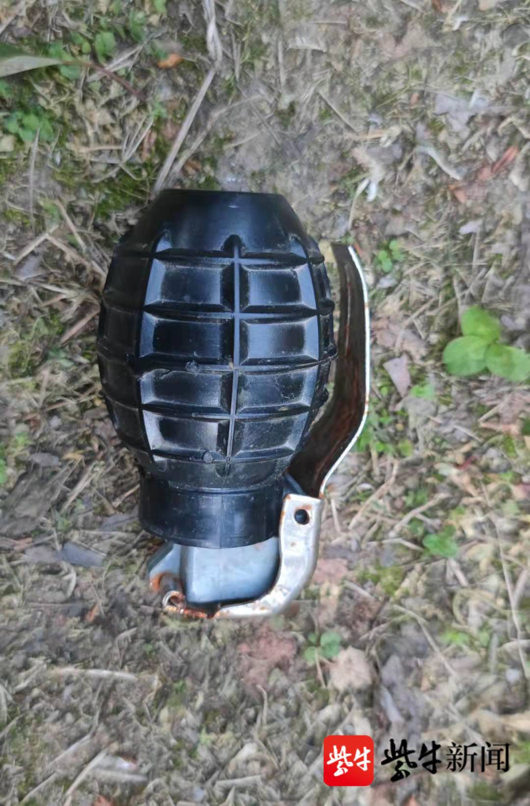 南京江宁一河边发现一枚手榴弹,南京排爆特警检查发现系用过的教练弹