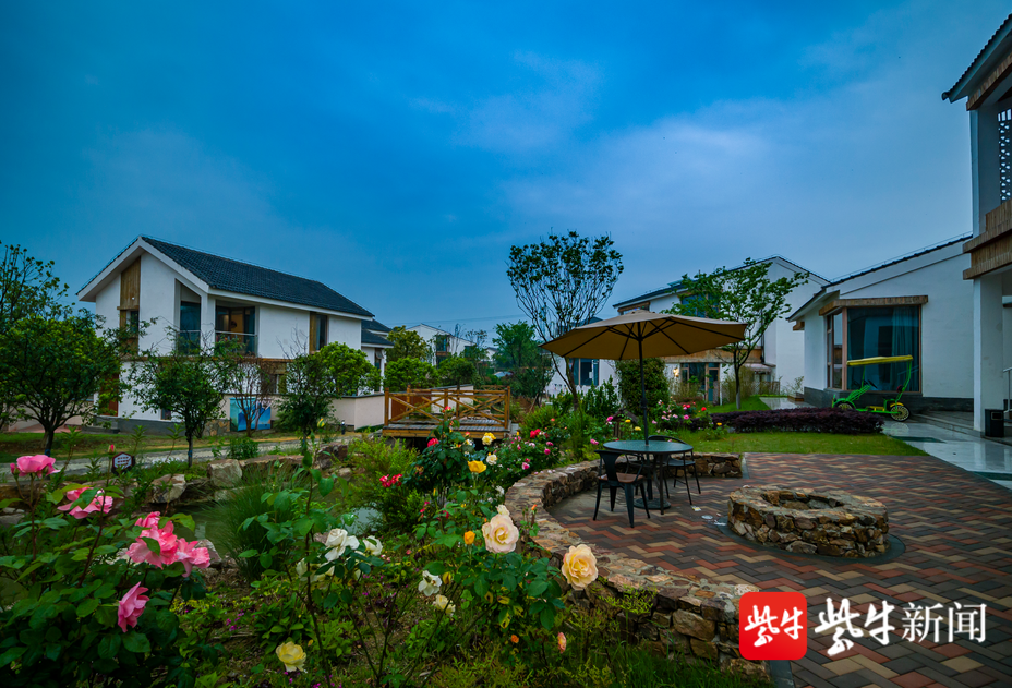 了不起的乡村(15|牛马塘村:小小的地瓜可以多"贵?