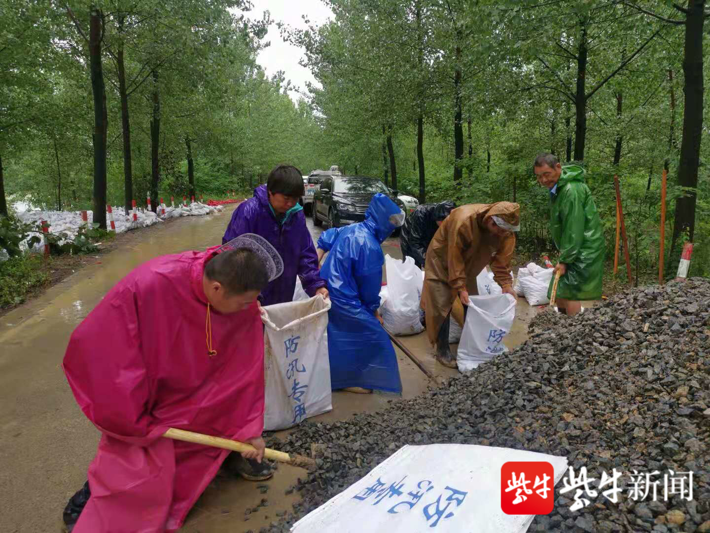 徐洪河河水倒灌出现险情,泗洪百余干群大堤上抗洪守护家园