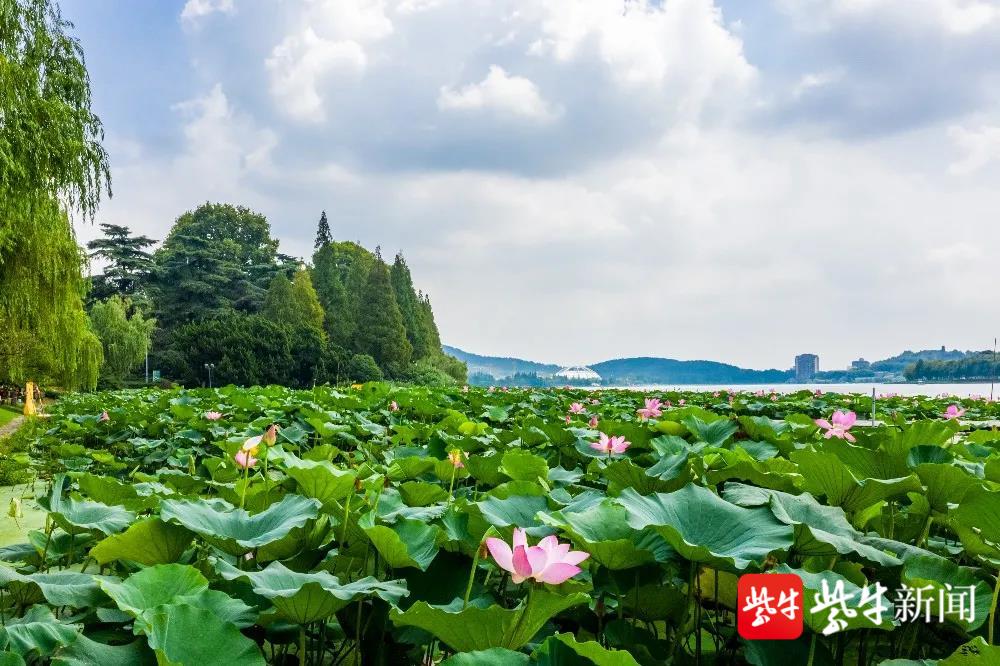 南京玄武湖景区室外区域开放时间延长至20:30