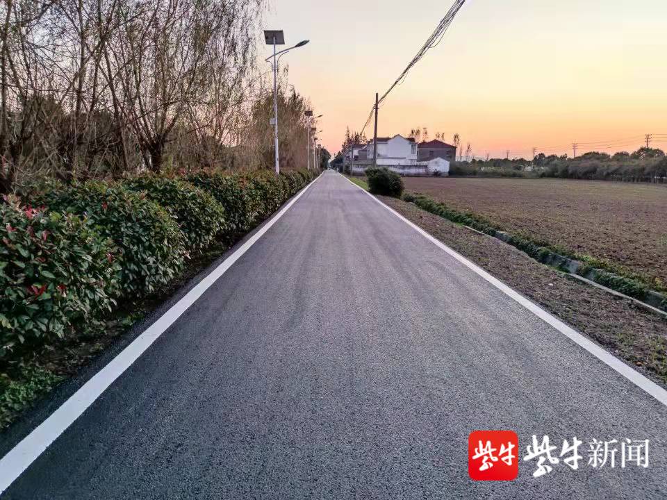 南京栖霞区龙潭街道马渡村结合村内水泥道路路面破损的现状,对阳光