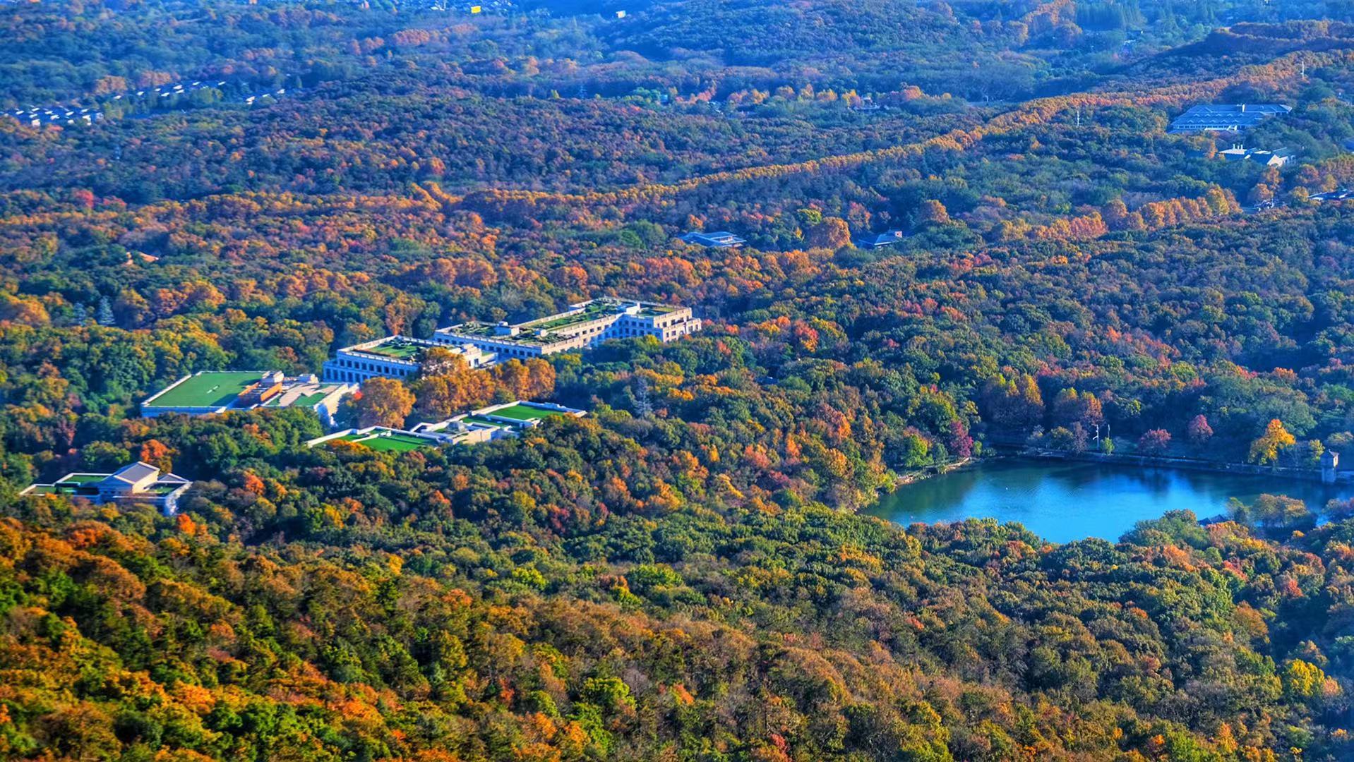 行摄紫金山!请看油画版效果的南京美景