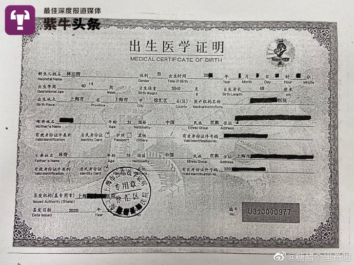 出生医学证明,显示新生儿"林某清"于20xx年出生在上海市徐汇区某医院