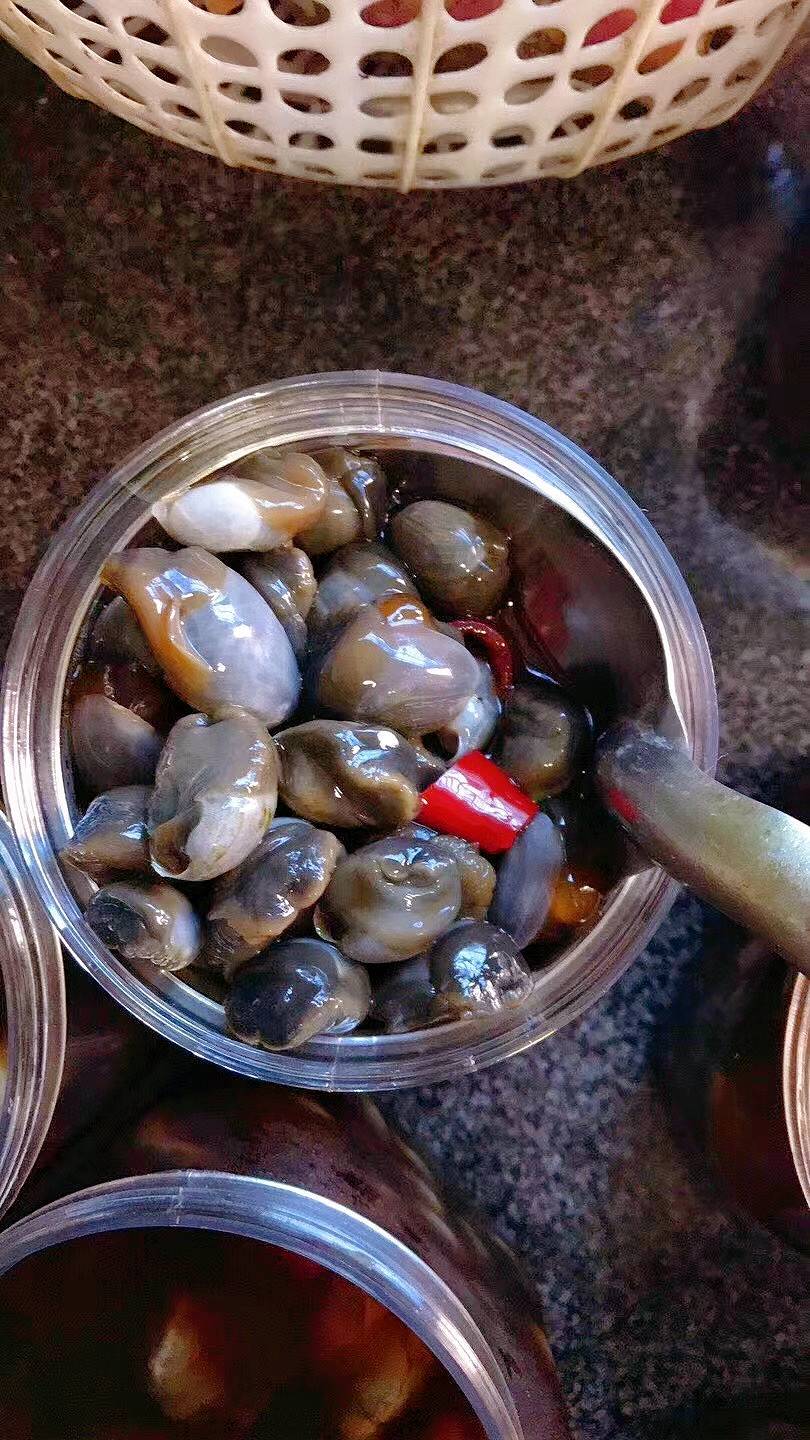 桃花泥螺,来自大海的第一口"春天"