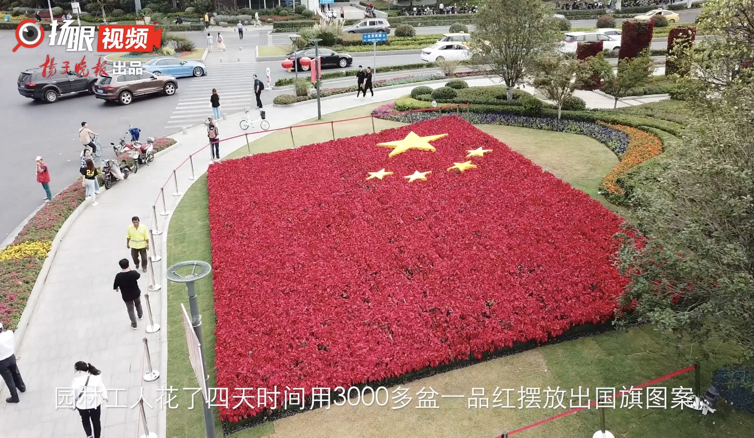 南京鼓楼广场3000盆花卉拼出巨幅国旗