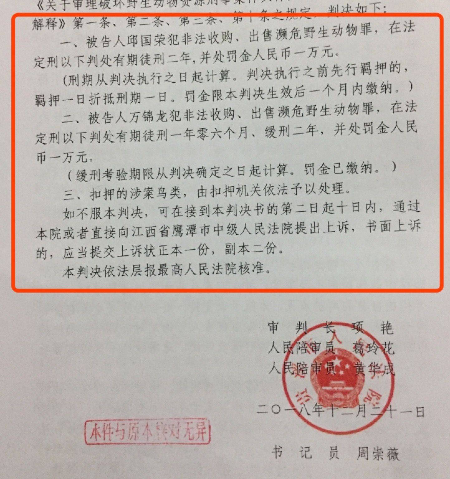 "江西鹦鹉案"二审改判缓刑,被告方:将申请撤销判决