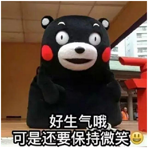 熊本熊表情包 图源:网络