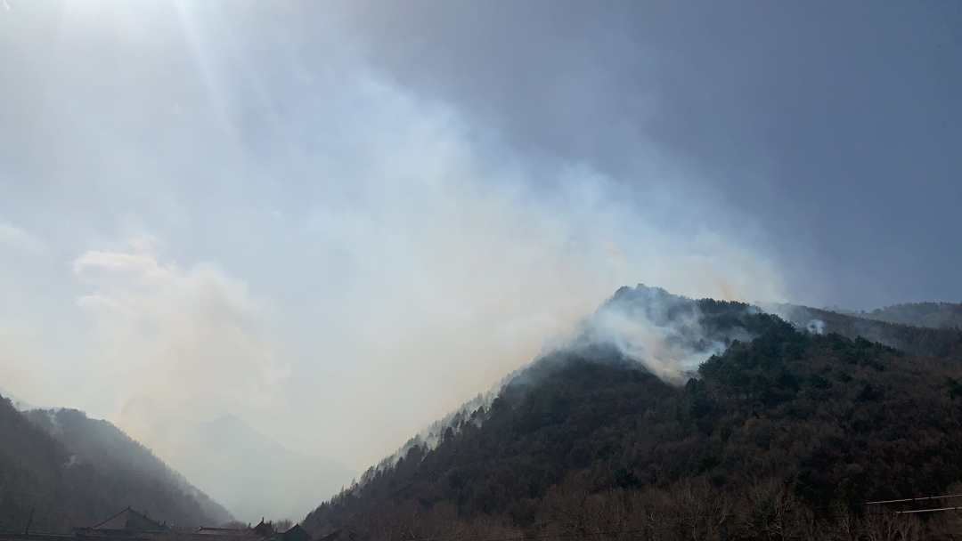 五台山风景区发生一起森林火灾 已初步控制