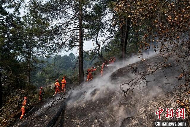 西藏自治区森林消防总队消防员进入林中灭火. 李国焘 摄