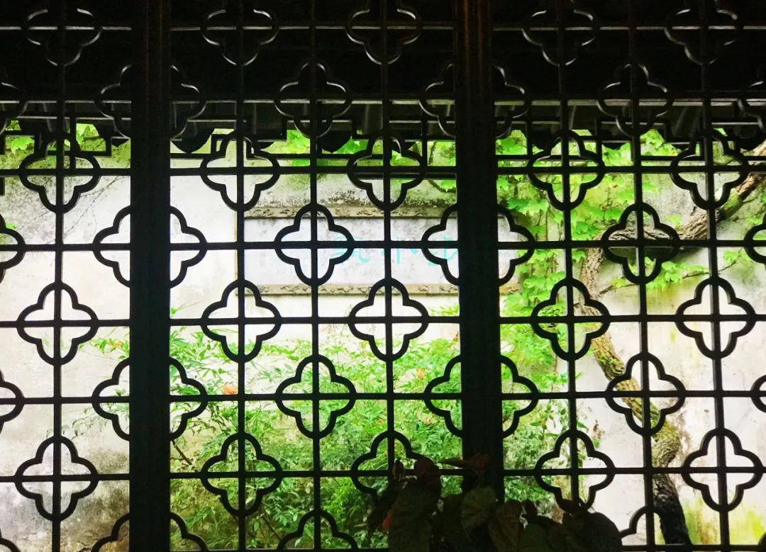 留园绿荫轩的花窗,隐约看到后面的花步小筑