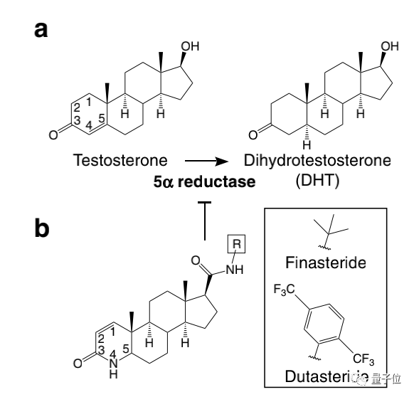 图a表示的是srd5a2通过还原睾酮的双键,将睾酮转化为二氢睾酮.