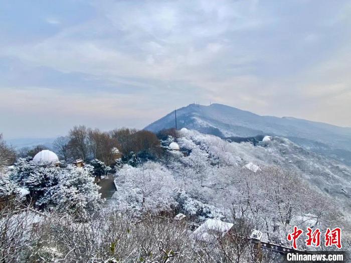 14日,俯瞰南京紫金山雪景 陈向阳 摄