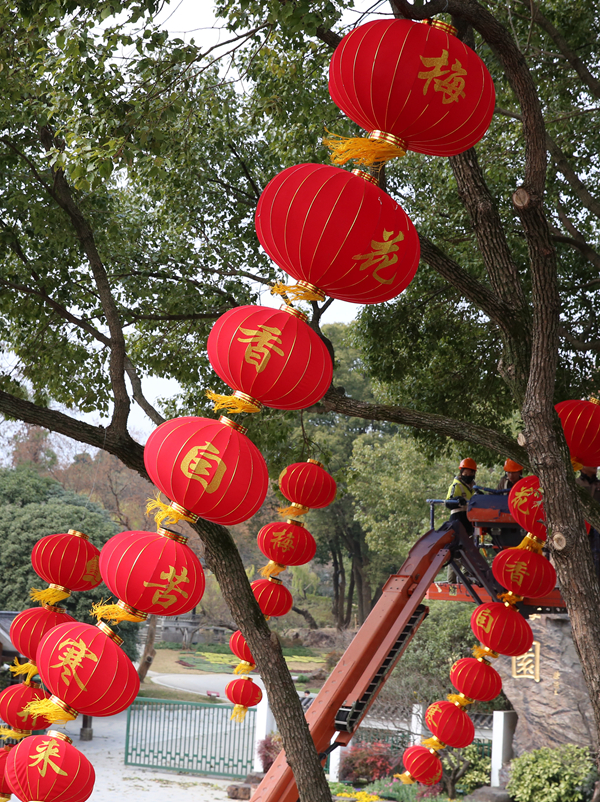 大红灯笼高挂迎新年