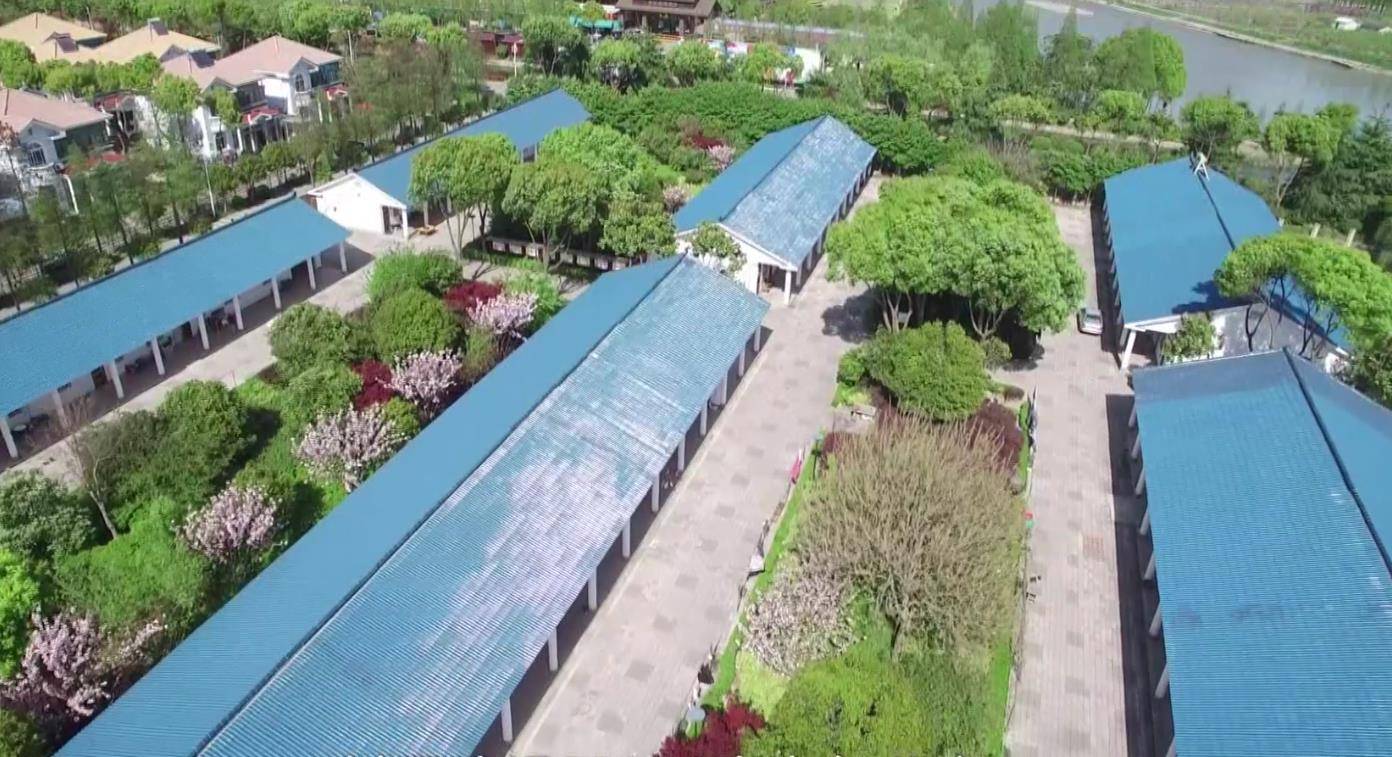百村调研行丨常熟蒋巷村:"老典型"的共同富裕路越走越宽