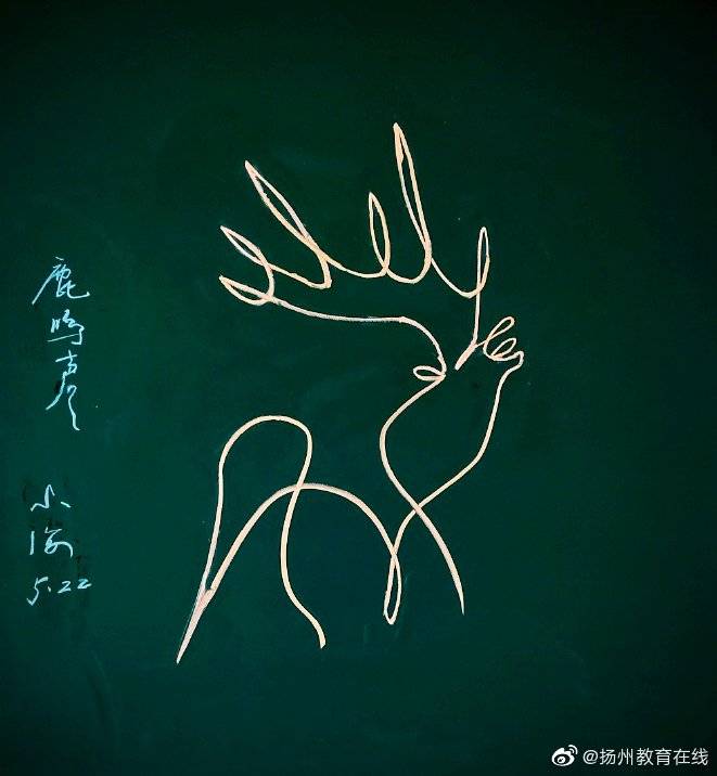 网红粉笔画老师又出新作 用曲线展现动物之美