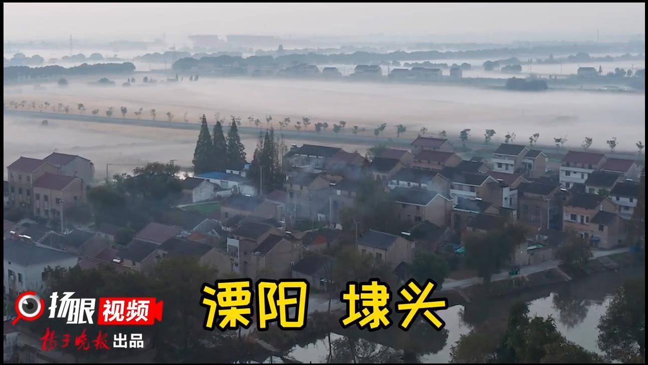 【视频】溧阳埭头镇:雾漫乡野入画来