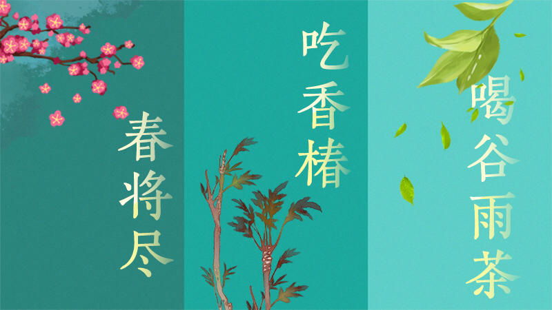 一分钟趣画节气|春将尽,吃香椿,喝谷雨茶