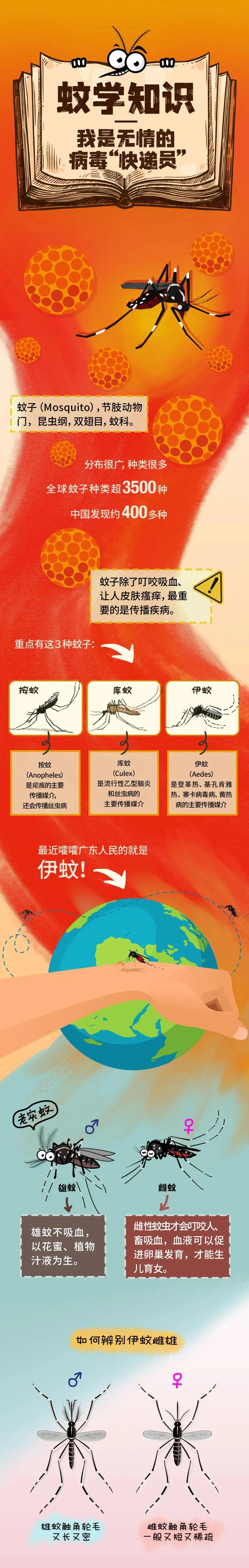 
                        4:3图片
