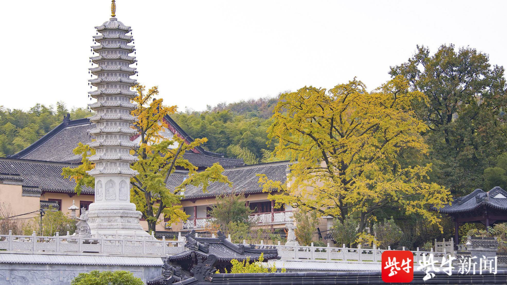千年隆昌寺迎来最美季节