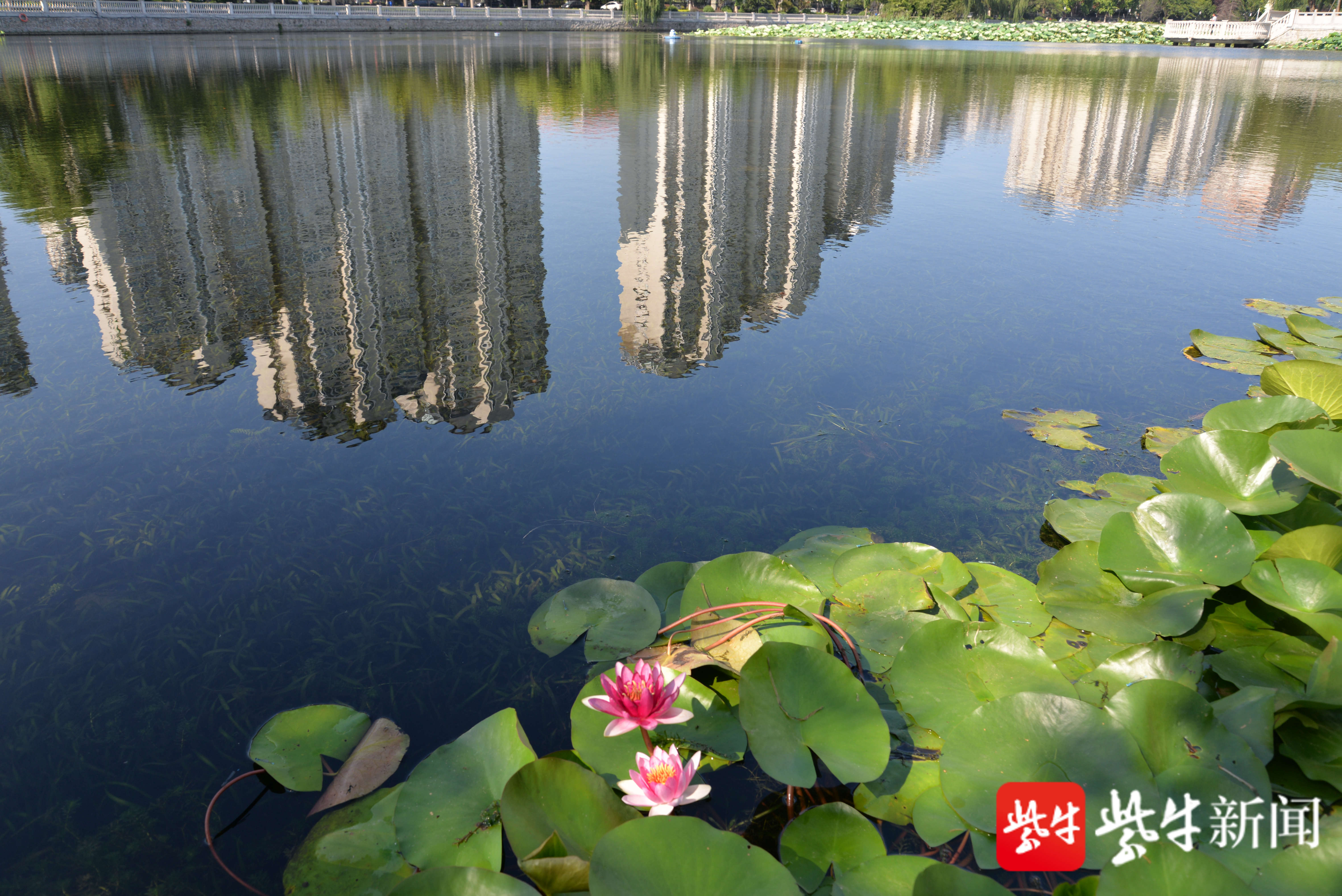 南京清水塘图片