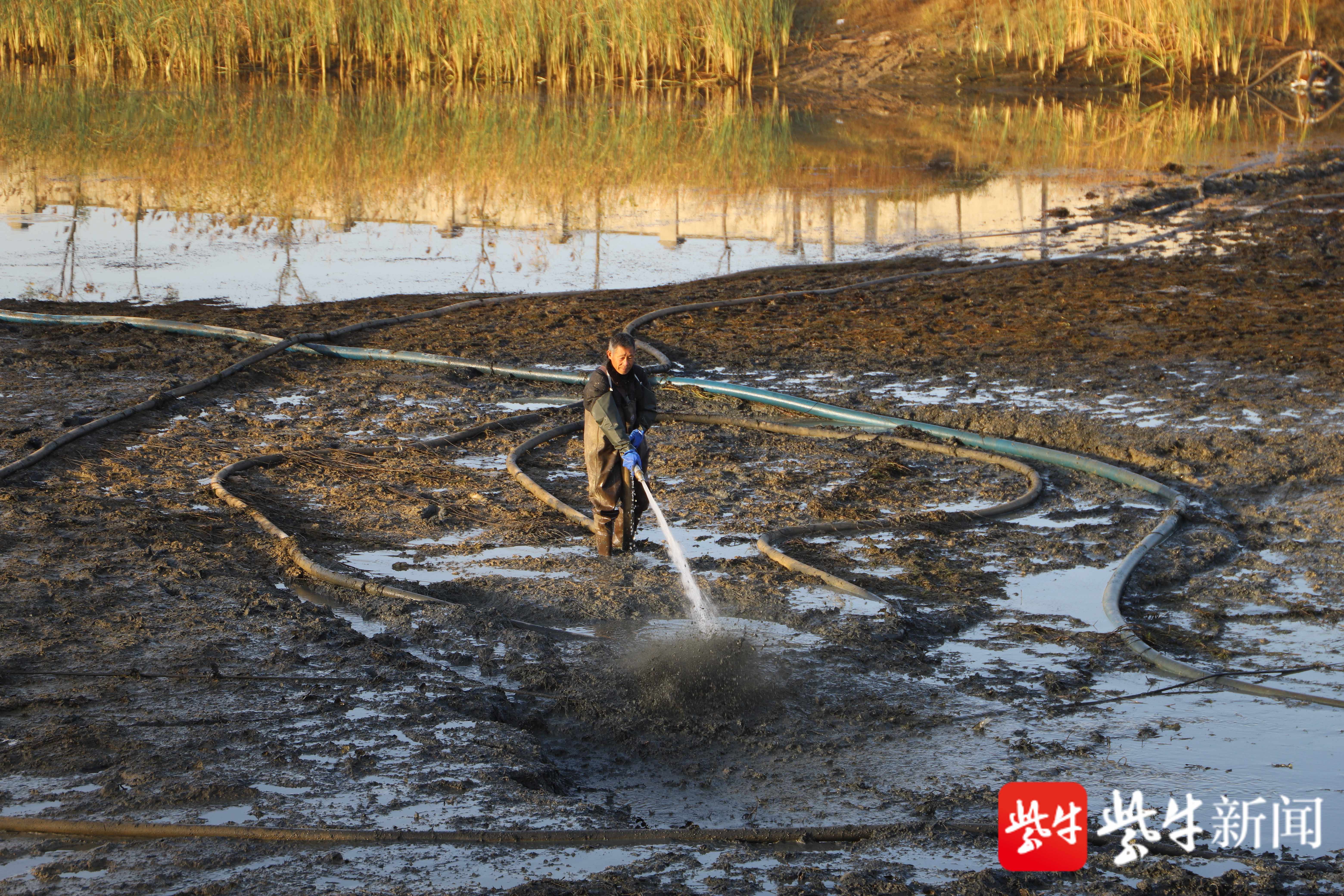 河塘水底啥模样?水位很低现泥浆