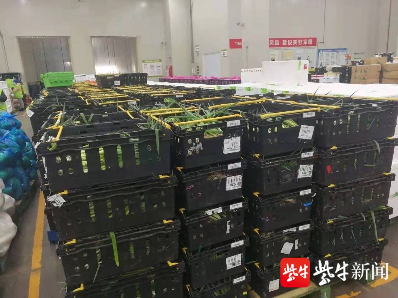 逛菜场 江北新区新区恢复开业农贸市场达13家