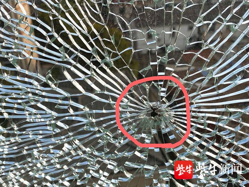 一年10多户居民窗玻璃被钢珠击穿,喜欢弹弓打鸟的嫌犯归案