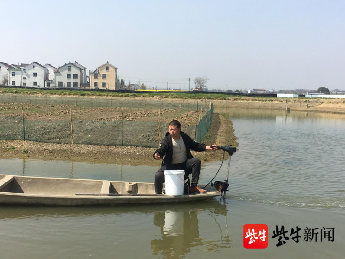 河蟹养殖投喂量