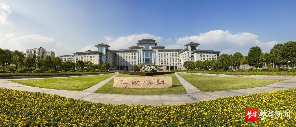 百家乐瞰青岛｜“一粒种子”何以全国“出圈”