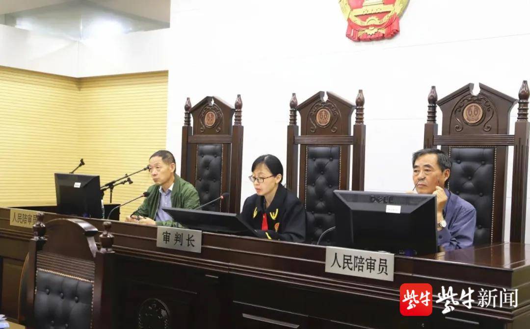 实施犯罪活动24起,高淳法院审理一起恶势力犯罪集团案