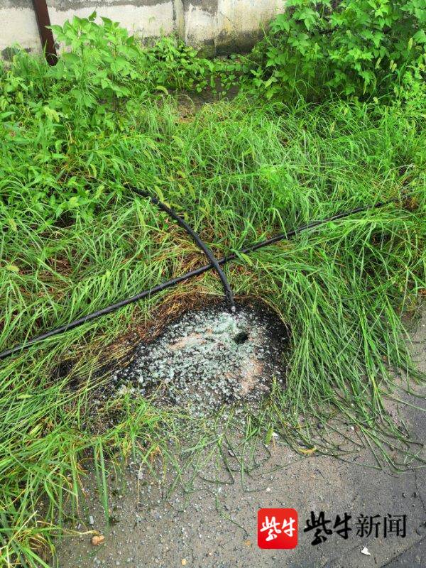 雷击断线镇江多小区断电 供电冒雨紧急抢修送"清凉"