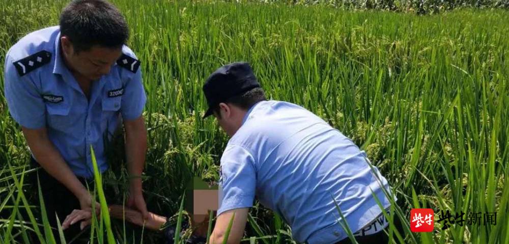 民警赤脚从稻田里将老人抬出