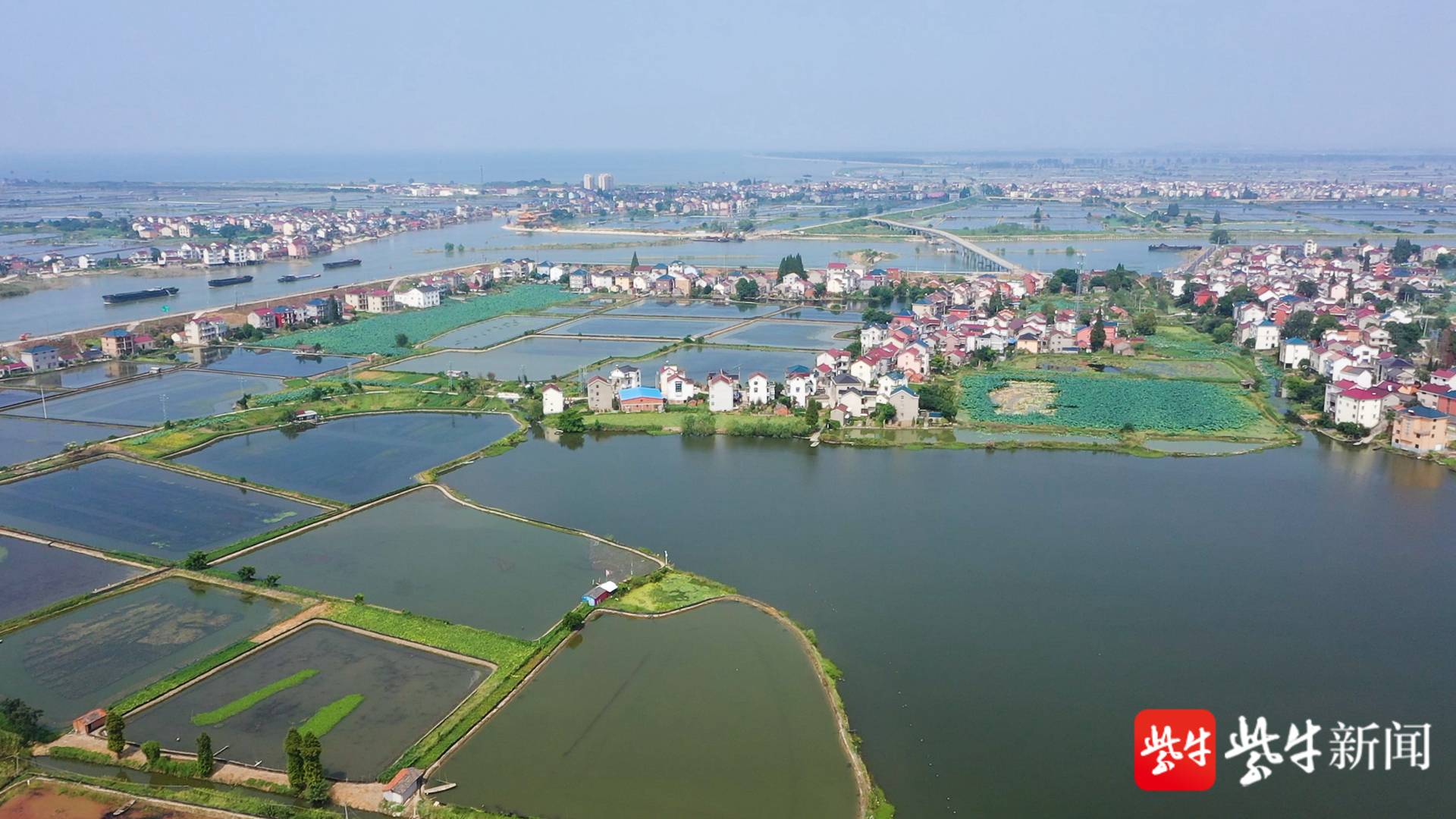 乡村振兴在南京 第一书记说咱村| 南京最后脱贫村,第一书记"开路架桥"