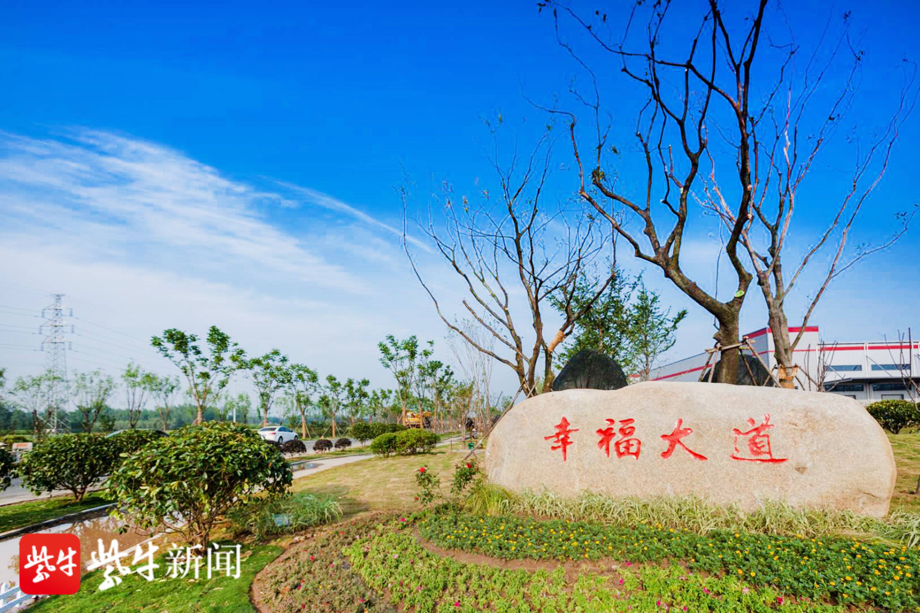 "幸福大道"两旁,乡村美景如画