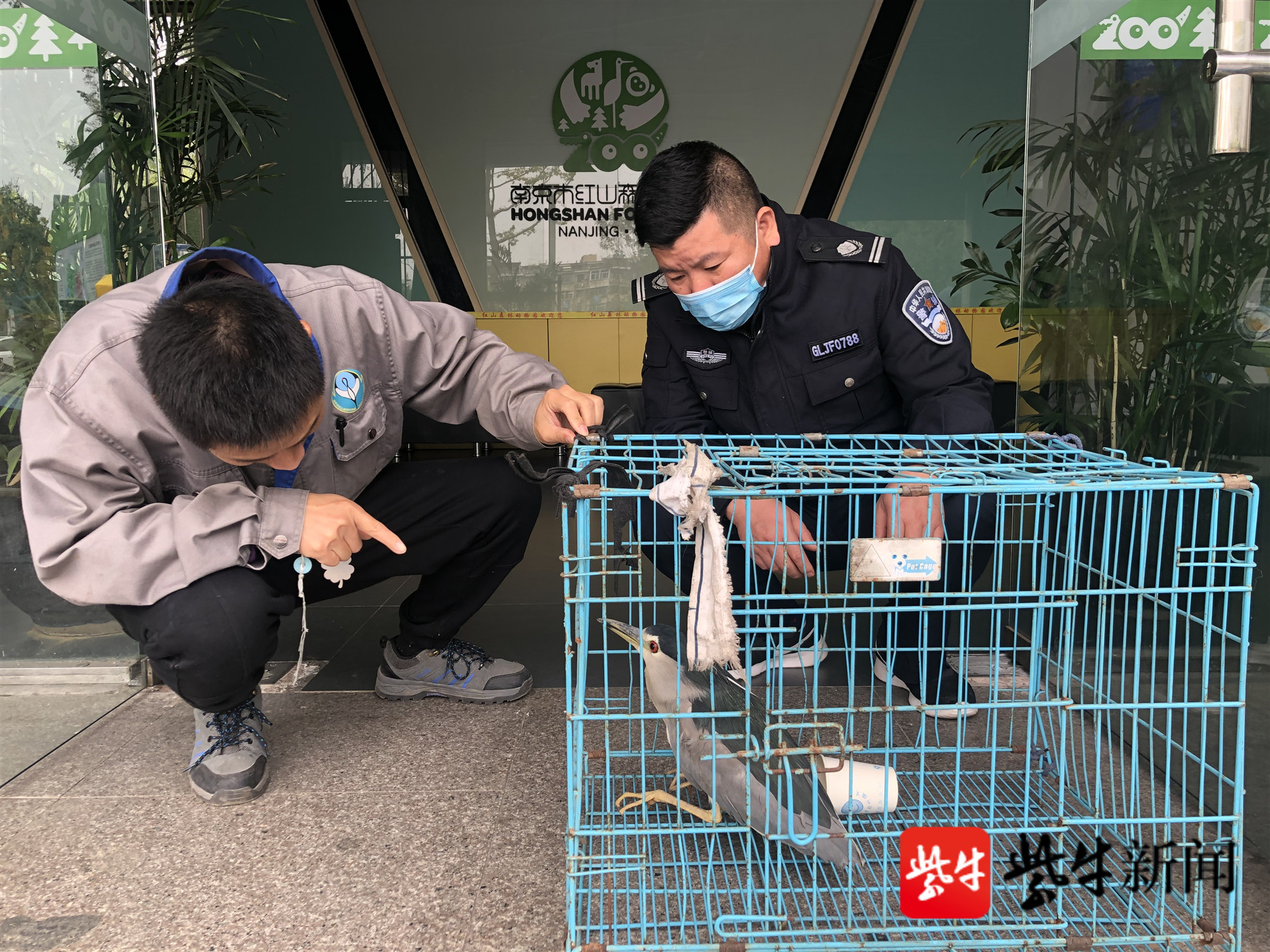 準備送往動物園救助站