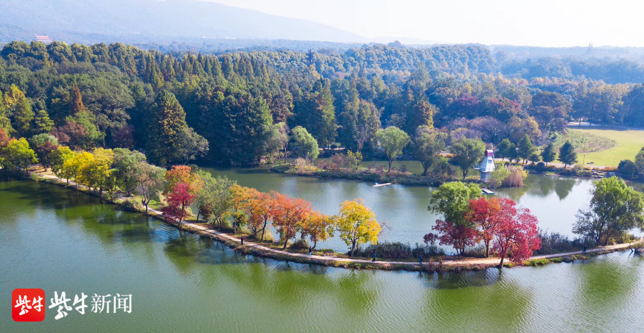 南京中山植物园南园图片