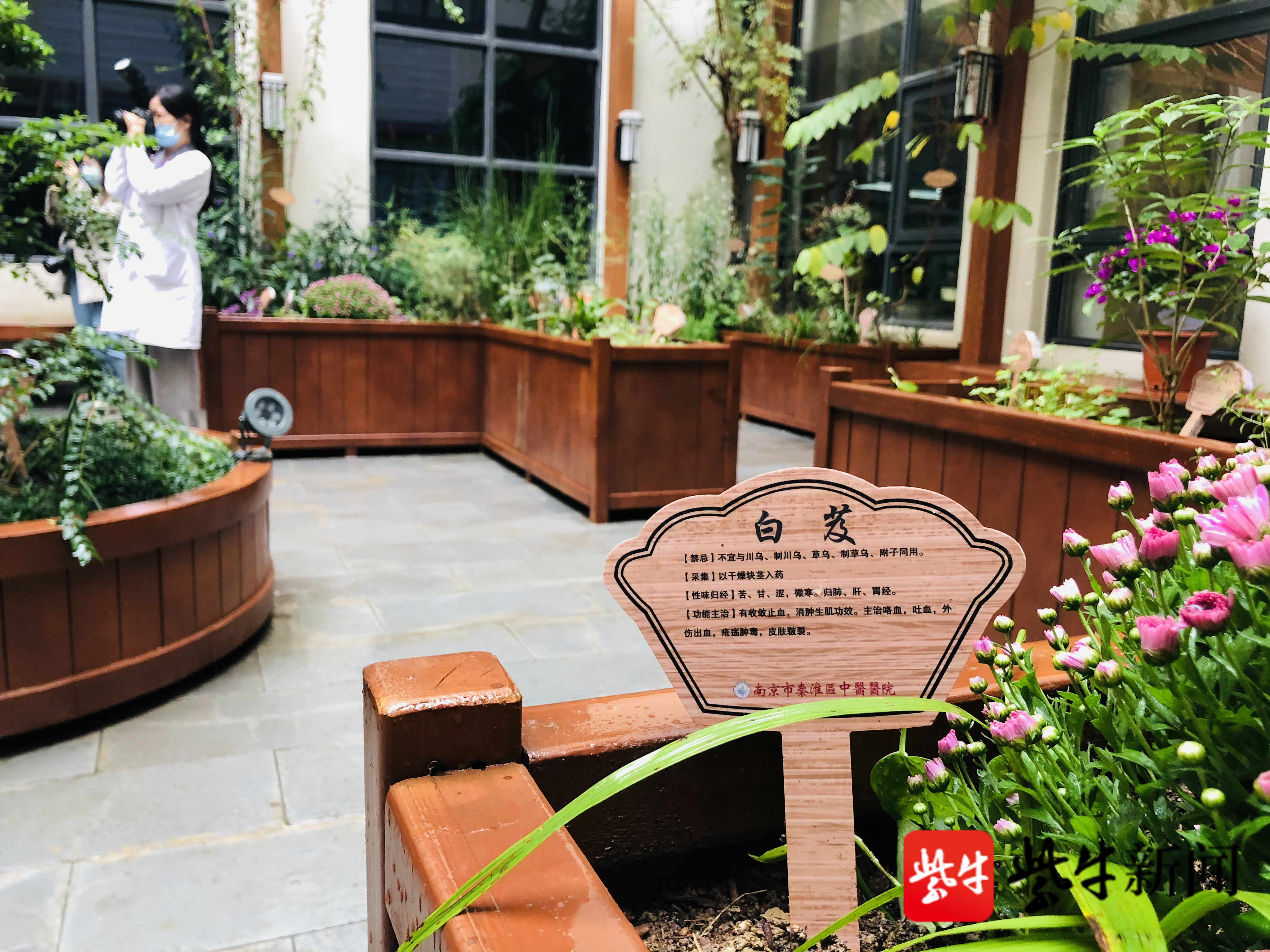 "百草园"里中医药香飘万家,南京秦淮区基本公共卫生服务获评全国第一