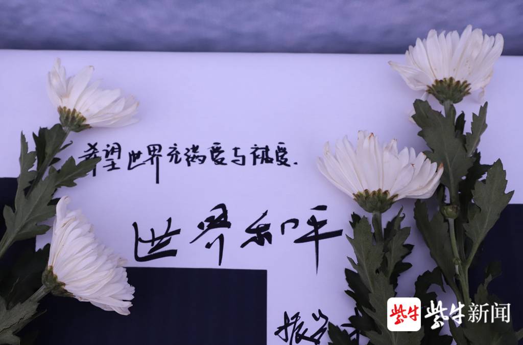 同学们将和平寄语和祈福千纸鹤悬挂在树枝上,千纸鹤随风摆动,寓意着