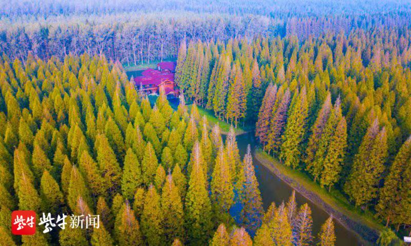 首次合作的长三角康养小镇项目落户江苏盐城东台的签约仪式在南京举办