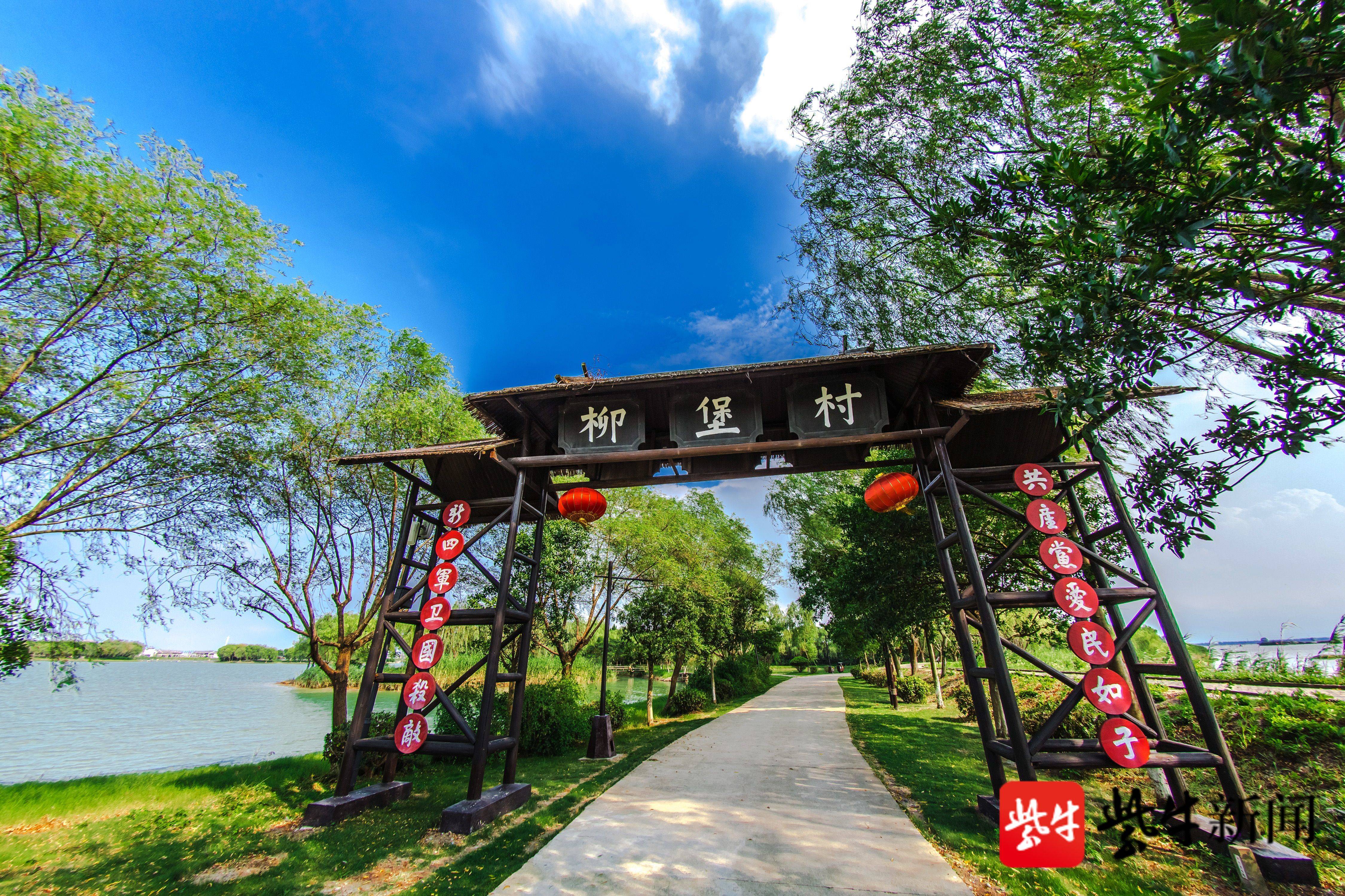 盐城唯一!大纵湖国家湿地公园入选首批"江苏省生态文明教育实践基地"